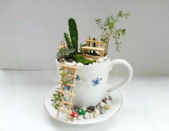 15个可爱的创意茶杯花园, 将废旧的杯具变成桌面盆栽
