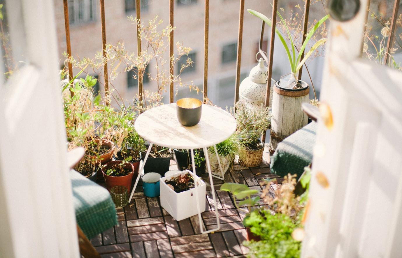 家居阳台花园常用的植物都有哪些?