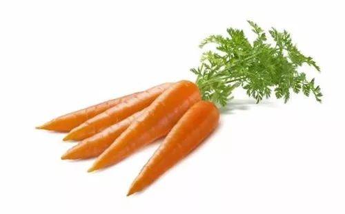 胡萝卜不仅仅可以吃, 这么养也能缓解眼睛疲劳!